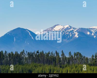 Wunderschöne Landschaft entlang des Yellowstone Lake Overlook Trail in Wyoming Stockfoto