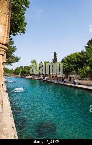 Sanliurfa, Türkei - Mai 2022: Balikligol (der Fischsee auf Englisch) in Sanliurfa, Türkei. Der historische Teich Abrahams oder der Teich des Heiligen Fisches Stockfoto