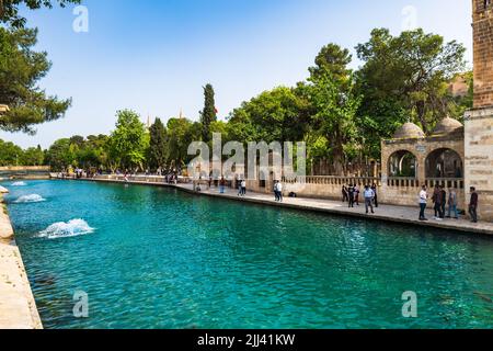 Sanliurfa, Türkei - Mai 2022: Balikligol (der Fischsee auf Englisch) in Sanliurfa, Türkei. Der historische Teich Abrahams oder der Teich des Heiligen Fisches Stockfoto