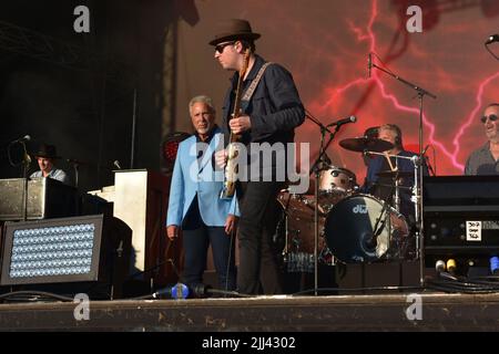 Tom Jones bei Live-Aufführungsveranstaltung auf der Newbury Racecourse, Samstag, 20.. Juli 2019 Stockfoto