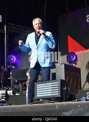 Tom Jones bei Live-Aufführungsveranstaltung auf der Newbury Racecourse, Samstag, 20.. Juli 2019 Stockfoto