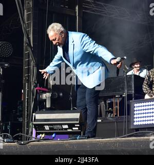 Tom Jones bei Live-Aufführungsveranstaltung auf der Newbury Racecourse, Samstag, 20.. Juli 2019 Stockfoto