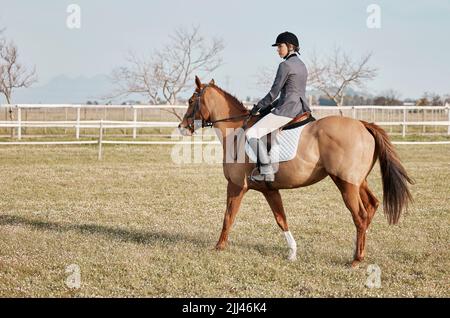 Es ist ein tolles Hobby. Ganzkörperaufnahme einer jungen Jockey-Frau, die auf der Ranch auf ihrem Pferd reitet. Stockfoto