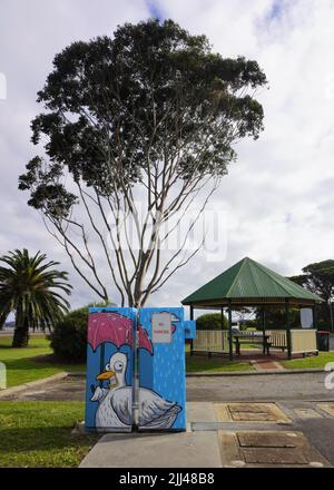 ANGRY BIRD Art in der Nähe eines Rastgebiets in Albany, Westaustralien Stockfoto