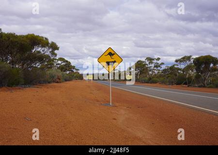 Kangaroo, Cattle and Road Trains Verkehrsschilder auf dem Goldfields Highway in Westaustralien Stockfoto