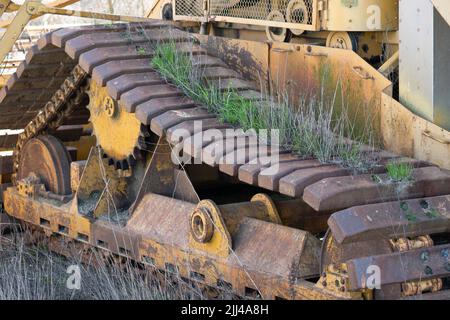 Alte verrostete Traktorenbahn mit Gras Stockfoto