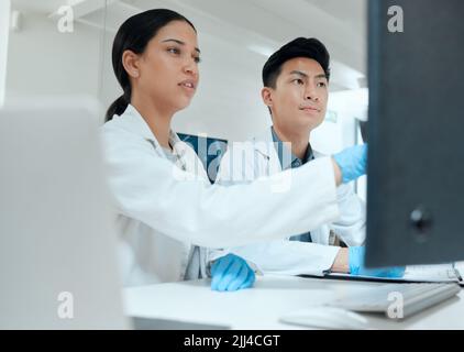 Ich brauche euer brillantes Gehirn. Zwei Wissenschaftler arbeiten zusammen an ihrem PC im Labor. Stockfoto