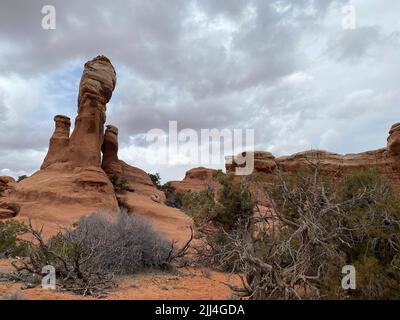 Foto von Hoodoos vom Broken Arch Trail in der Nähe des Sand Dune Arch Trailhead im Arches National Park in Moab, Utah, USA. Stockfoto