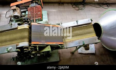 Ooty,Tamilnadu,Indien-April 30 2022: Montagelinie zur Verarbeitung von Teeblättern mit Maschinen vom Rohstoffblatt bis zur fertigen Teeleistung. Die Blätter sind t Stockfoto