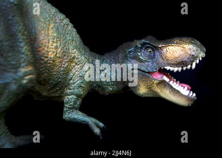 Tyrannosaurus Dinosaurier Spielzeug isoliert auf weißem Hintergrund mit Clipping Pfad. Hochwertige Fotos Stockfoto