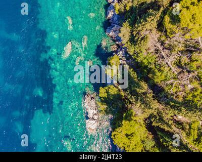 Malerisches Meer Adriaküste von Montenegro. Türkisfarbenes Mittelmeer und felsige Küste mit immergrünen Nadelbäumen. Wunderschöne Sommerlandschaft Stockfoto