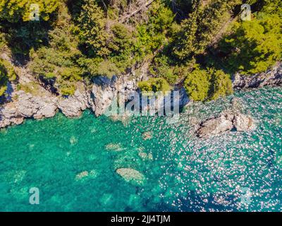 Malerisches Meer Adriaküste von Montenegro. Türkisfarbenes Mittelmeer und felsige Küste mit immergrünen Nadelbäumen. Wunderschöne Sommerlandschaft Stockfoto