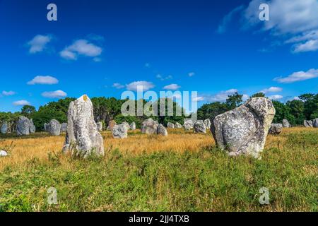 Menhir-Ausrichtung von Kermario (Frankreich) Stockfoto