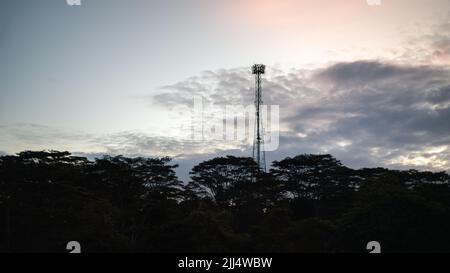 Hoher Telekommunikationsturm und die silhouettierte Baumgrenze in der abendlichen Landschaftsansicht. Stockfoto