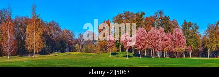 Panoramablick auf den grünen Golfplatz vor üppigen Herbstbäumen im Park, Mezhyhirya, Ukraine Stockfoto