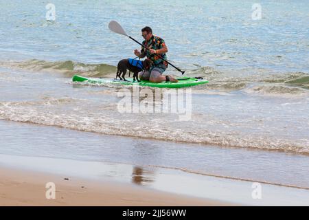 Branksome Dene Chine, Poole, Dorset, Großbritannien. 23.. Juli 2022. Das von Shaka Surf organisierte Dog Surfing Championships Dog Masters Festival in Großbritannien findet am Strand von Branksome Dene Chine statt. Britains einziger Surf-Wettbewerb für Hunde, jetzt im vierten Jahr, ist größer als je zuvor, mit 30 Hundekonkurrenten, die für ein rasantes doggy Paddleboard-Rennen registriert sind, sowie Hundebesitzern ähnelichem Kostümwettbewerb, Mutts Market, Paw Inn Beach Bar, Hundeschau, Essen und mehr, Mit Live-Musik bis in den Abend. Quelle: Carolyn Jenkins/Alamy Live News Stockfoto