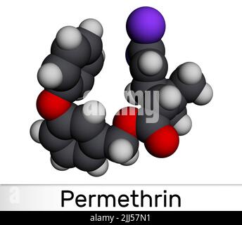 Permethrin-Molekül. Es ist Insektizid und Medikamente, die bei der Behandlung von Läusebefall und Krätze verwendet werden. Molekularmodell. 3D Rendern. Abbildung Stockfoto