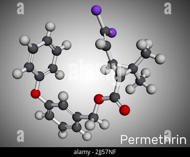 Permethrin-Molekül. Es ist Insektizid und Medikamente, die bei der Behandlung von Läusebefall und Krätze verwendet werden. Molekularmodell. 3D Rendern. Abbildung Stockfoto