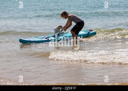 Branksome Dene Chine, Poole, Dorset, Großbritannien. 23.. Juli 2022. Das von Shaka Surf organisierte Dog Surfing Championships Dog Masters Festival in Großbritannien findet am Strand von Branksome Dene Chine statt. Britains einziger Surf-Wettbewerb für Hunde, jetzt im vierten Jahr, ist größer als je zuvor, mit 30 Hundekonkurrenten, die für ein rasantes doggy Paddleboard-Rennen registriert sind, sowie Hundebesitzern ähnelichem Kostümwettbewerb, Mutts Market, Paw Inn Beach Bar, Hundeschau, Essen und mehr, Mit Live-Musik bis in den Abend. Quelle: Carolyn Jenkins/Alamy Live News Stockfoto