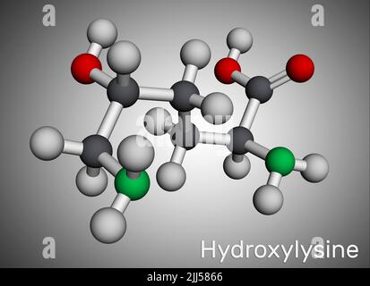 Hydroxylysin, Hyl-Molekül. Es ist Aminosäure, menschlicher Metabolit. Molekularmodell. 3D Rendern. Stockfoto