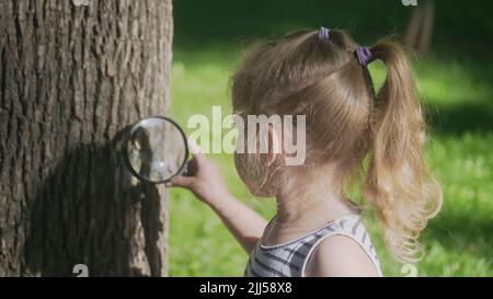 Kleines Mädchen schaut durch die Linse auf Insekten am Baumstamm. Nahaufnahme des blonden Mädchens studiert Ameisen, während sie durch die Lupe o betrachtet werden Stockfoto