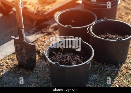 Nahaufnahme von Garteneimer mit schwarzem Boden und Schaufel im Boden für die Pflanzung von Baum Stockfoto