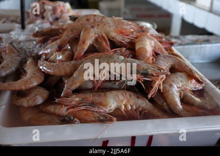 Haufen frischer Garnelen auf den öffentlichen Marktschaltern in Ubatuba, SP, Brasilien. Garnelen auf Eiswürfeln. Rohe Garnelen liegen auf Eis. Delikatesse aus Meeresfrüchten Stockfoto