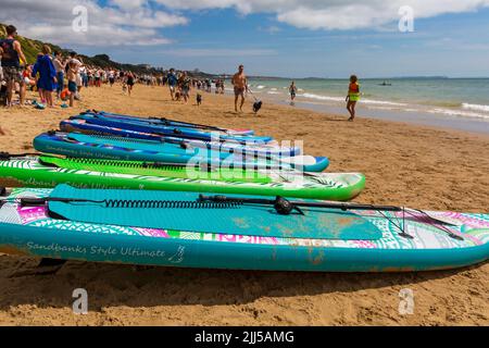 Branksome Dene Chine, Poole, Dorset, Großbritannien. 23.. Juli 2022. Das von Shaka Surf organisierte Dog Surfing Championships Dog Masters Festival in Großbritannien findet am Strand von Branksome Dene Chine statt. Britains einziger Surf-Wettbewerb für Hunde, jetzt im vierten Jahr, ist größer als je zuvor, mit 30 Hundekonkurrenten, die für ein rasantes doggy Paddleboard-Rennen registriert sind, sowie Hundebesitzern ähnelichem Kostümwettbewerb, Mutts Market, Paw Inn Beach Bar, Hundeschau, Essen und mehr, Mit Live-Musik bis in den Abend. Quelle: Carolyn Jenkins/Alamy Live News Stockfoto