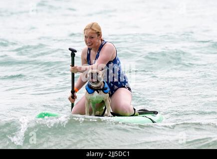 Ein Teilnehmer nimmt an den Dog Masters 2022 UK Dog Surfing Championships am Branksome Dene Chine Beach in Poole, Dorset, Teil. Bilddatum: Samstag, 23. Juli 2022. Stockfoto