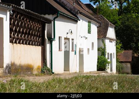 Der Begriff Kellergasse, auch bekannt als Kellertrift, wird hauptsächlich in Österreich verwendet und bezieht sich auf die Gasse, die oft als versunkener Weg gestaltet ist, espe Stockfoto