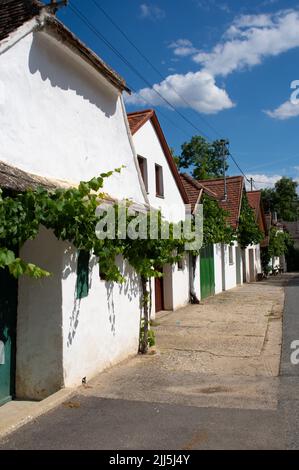 Der Begriff Kellergasse, auch bekannt als Kellertrift, wird hauptsächlich in Österreich verwendet und bezieht sich auf die Gasse, die oft als versunkener Weg gestaltet ist, espe Stockfoto