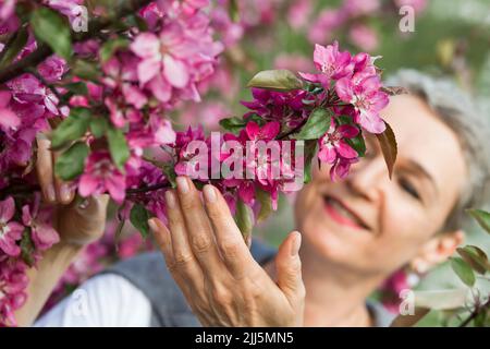 Lächelnde Frau berührt Malus makamik Apfelbaum Stockfoto