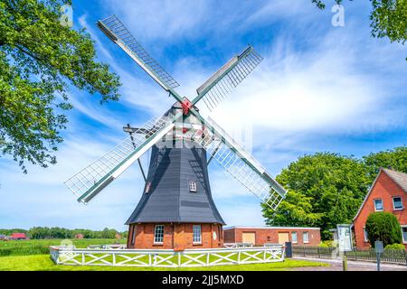 Deutschland, Niedersachsen, Grossheide, Tjadens Windmühle im Sommer Stockfoto