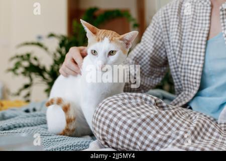Frau, die zu Hause mit einer Katze sitzt Stockfoto
