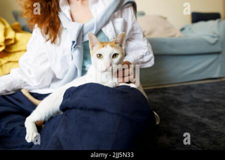 Frau mit Katze sitzt im Wohnzimmer zu Hause Stockfoto