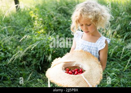 Blonde Mädchen hält Hut mit frischen roten Kirschen Stockfoto