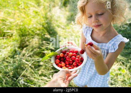 Blonde Mädchen mit Sieb von frischen Kirschen Stockfoto