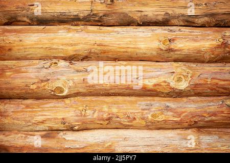 Wandstruktur aus frisch geschnittenen Baumstämmen. Abstrakte Natur Hintergründe Stockfoto