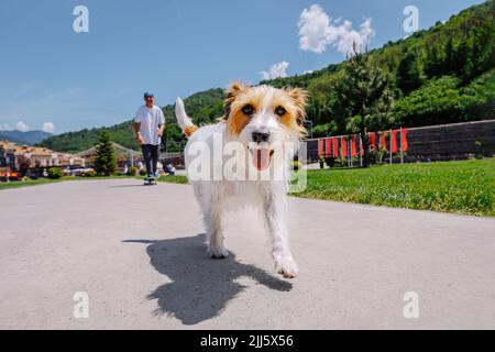 Hund läuft vor Mann Skateboarding auf der Straße Stockfoto