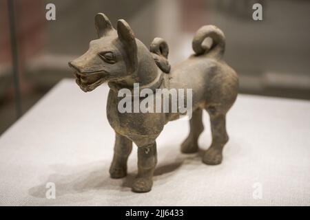 Alte chinesische kulturelle Relikte aus der Han-Dynastie im Museum, Tonhund-Statuen Stockfoto