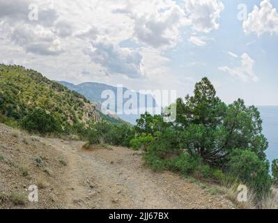 Blick auf die Küste zum Kap Aya vom Wanderweg auf der Klippe bei Balaklava mit Wacholderbaum im Vordergrund, Sewastopol, Krim. Stockfoto