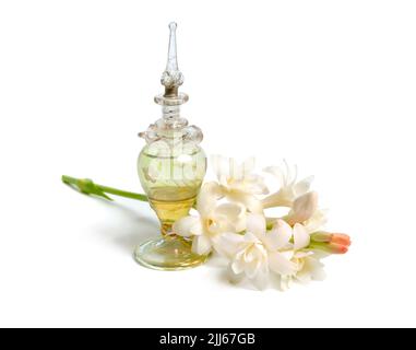 Agave amica, früher Polianthes tuberosa oder tuberose. Mit Parfümflasche. Isoliert auf weißem Hintergrund. Stockfoto