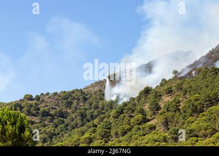 Hubschrauber im Flug, der das Feuer in der Nähe von Pinos de Alhaurín auslöschen wird. Wasser auf das Feuer am Berghang fallen lassen. Kiefernwald brennen, Feuer aktiv und Stockfoto