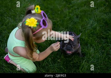 die französische Bulldogge sieht ein kleines Mädchen an, das ihm Nahrung gibt Stockfoto