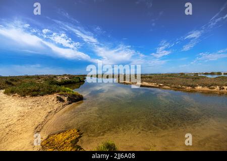 Blick auf einen der transparenten Pools des Regionalparks Las Salinas de San Pedro del Pinatar, in der Region Murcia, Spanien Stockfoto