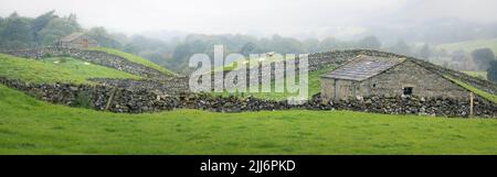 Breites Panorama ländliche englische Landschaft Blick auf alte Steinmauern, Scheunen und Swaledale Schafe in der Nähe von Hawes des Yorkshire Dales National Park in England, Stockfoto
