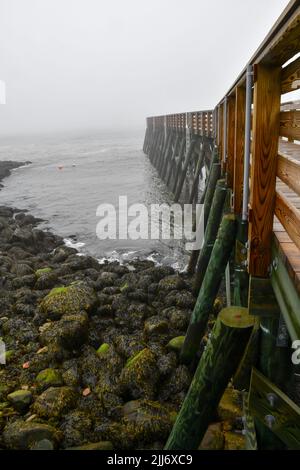 Holzsteg im Meer an nebeligen Morgen Stockfoto