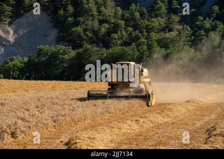New Holland TC5060 Kombinieren Sie Harvester in Aktion, Sonnenschein und Staub Stockfoto