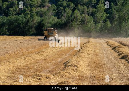New Holland TC5060 Kombinieren Sie Harvester in Aktion, Sonnenschein und Staub Stockfoto