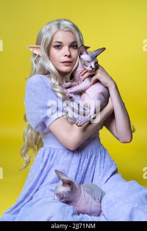 Junge weibliche Cosplay-Elfe in blauem Kleid, die mit zwei geliebten Sphinx-Kätzchen sitzt und mit Augen verschiedener Farben auf die Kamera schaut. Elf hat Blondine Stockfoto